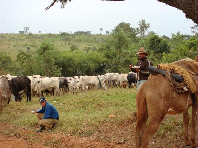 Cowboys at lunch time