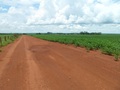 #7: A estrada passa a 482 metros da confluência - the road passes 482 meters to the confluence