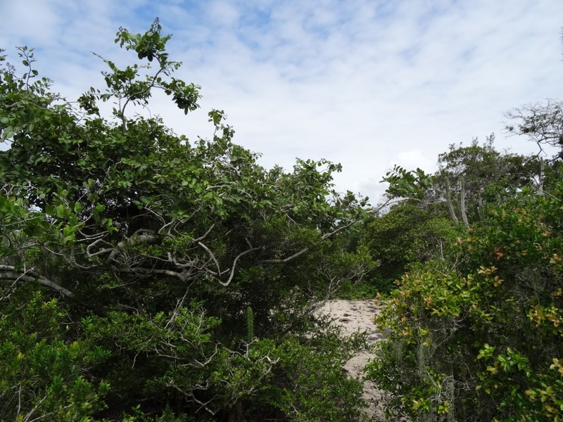 Vista Oeste. West view