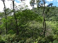 #4: Vista Este- East view