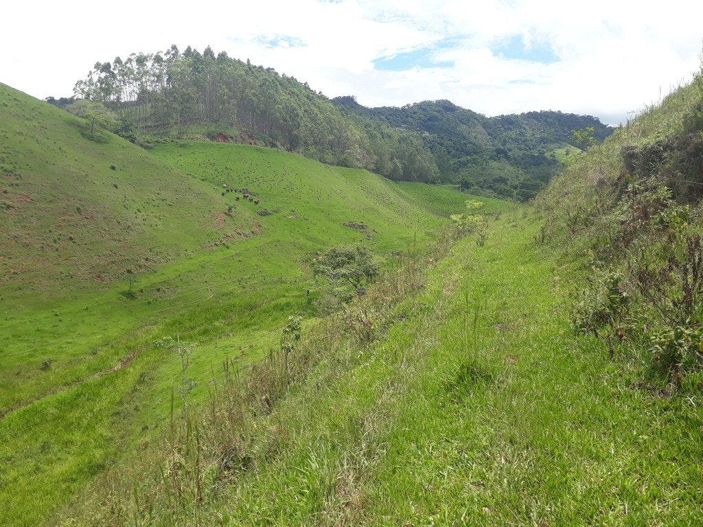 Paisagem da região da confluência - landscape of confluence region