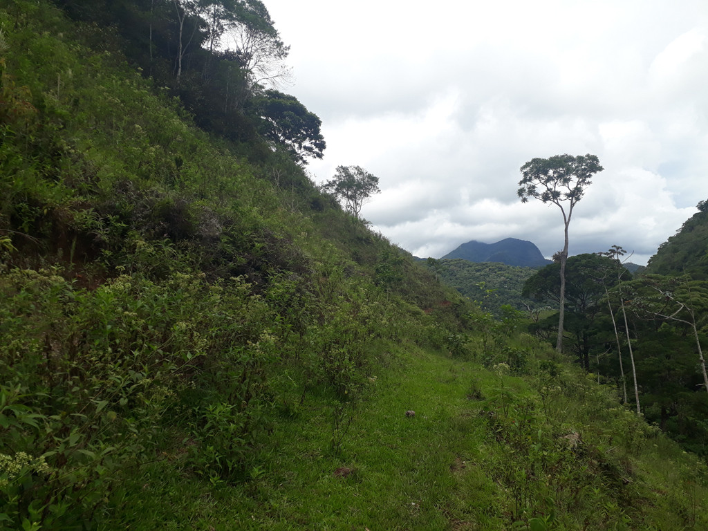 Visão geral - general view