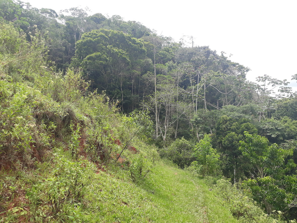 Visão norte - north view