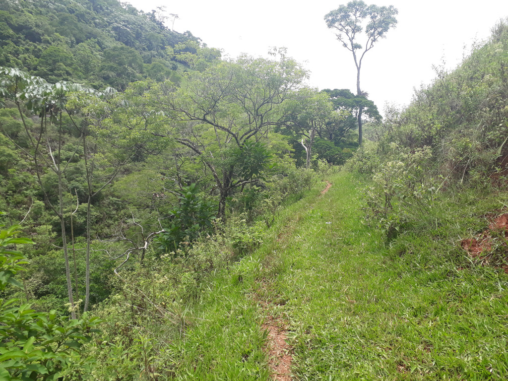 Visão sul - south view