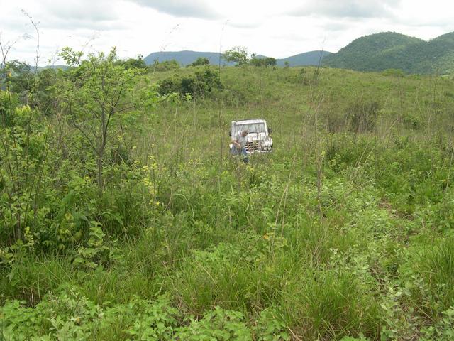 Arriving 40 meters from confluence