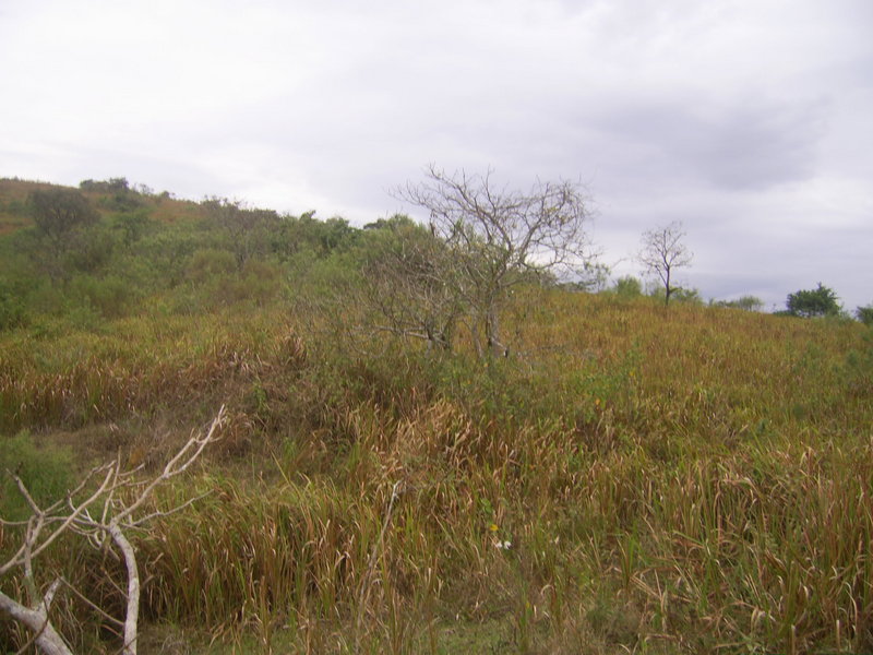 Visão geral - general view