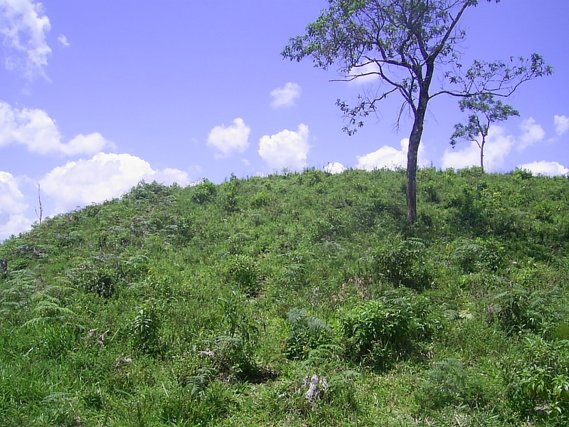 Visão geral - general view