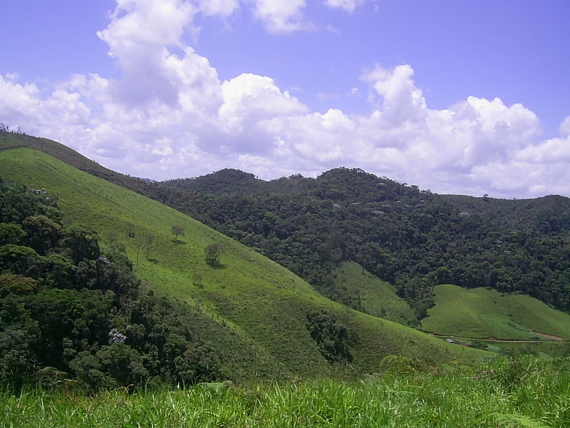 Visão norte e confluência 41 metros adiante - north view and confluence 41 meters ahead