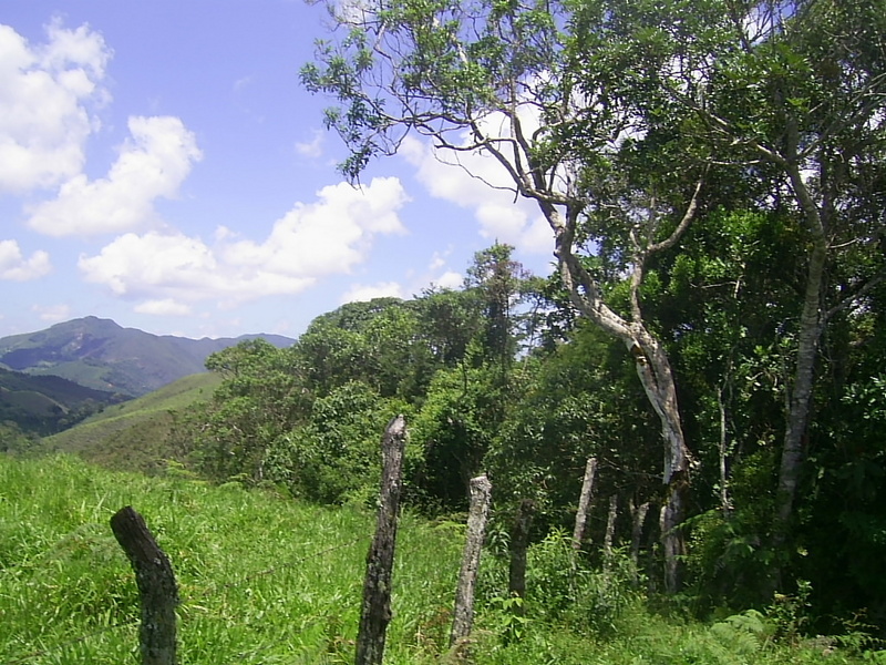 Visão leste - east view