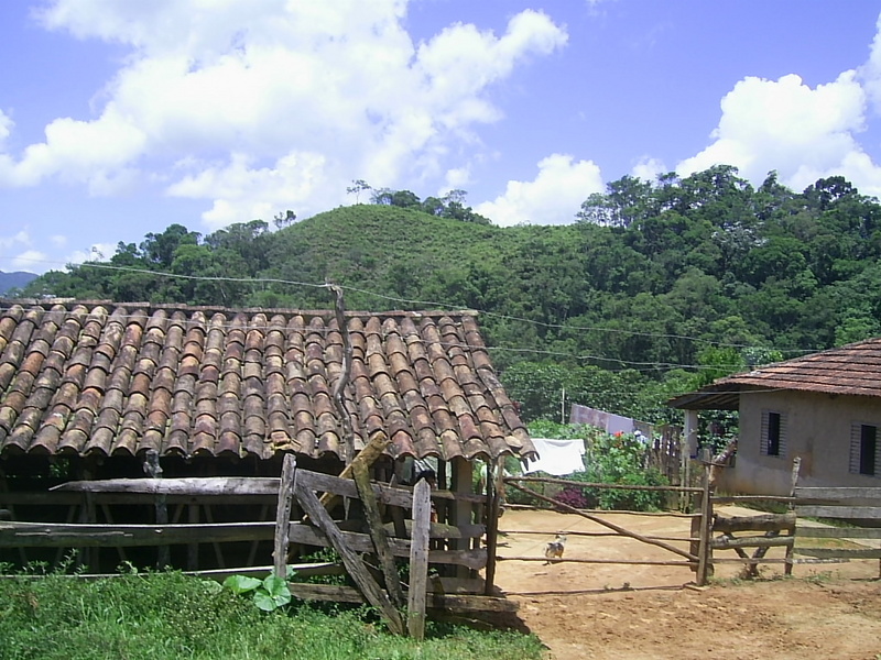 Fazenda localizada a 280 metros da confluência. A confluência está próxima da árvore no alto do morro, ao fundo. - Farm located 280 meters close to the confluence. The confluence lies near the tree in the peak of the mount