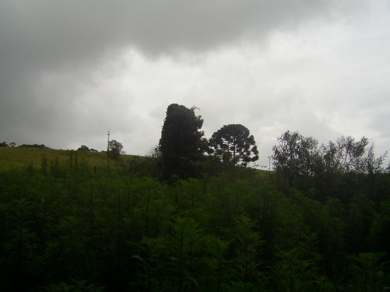 Visão norte - north view