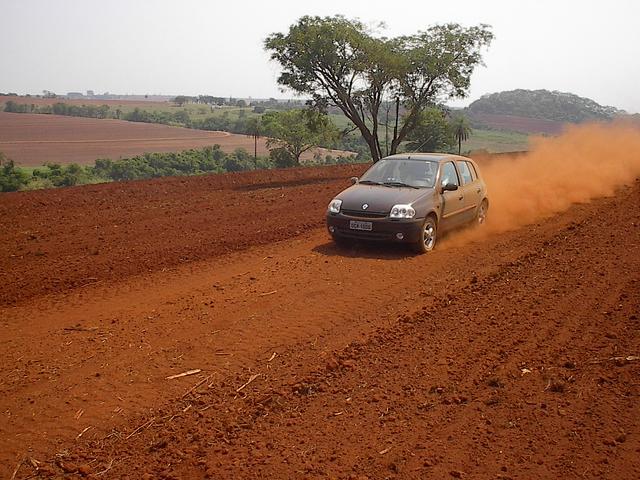 Road that took us to forest patch.