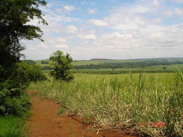 Vista da Área