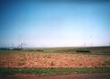 #5: Panoramica. Sugar mill (left), power transmission lines, and sugarcane plantation where the confluence point is located (right).