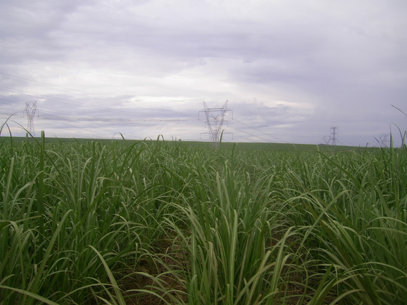 Visão geral - general view