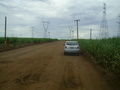 #7: A estrada de terra passa a 56 metros da confluência - dirt road passes 56 meters close to the confluence