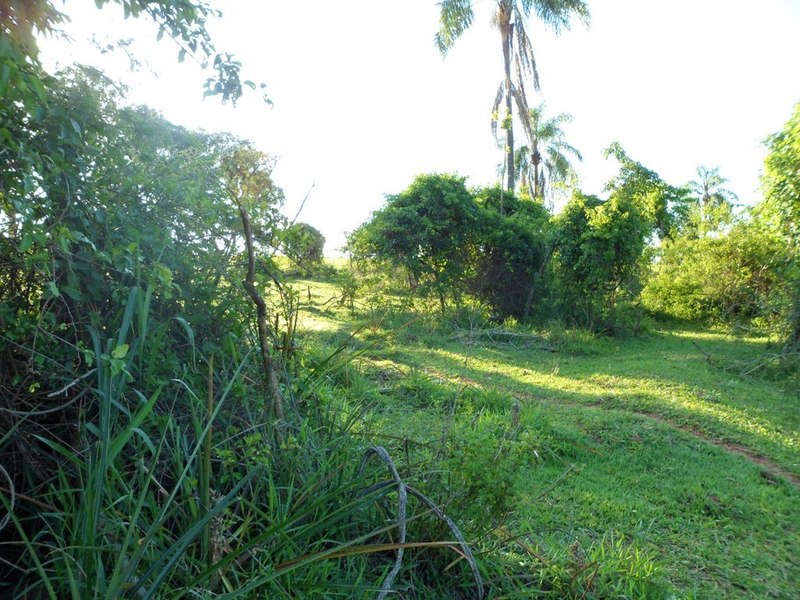 Visão geral - General view