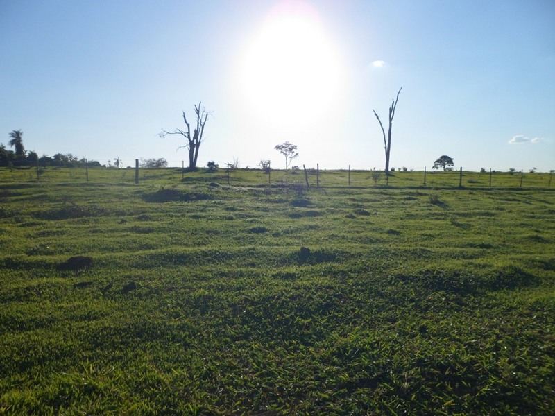 Visão oeste (o sol da tarde prova isto) - West view (the sun of the afternoon proves it)