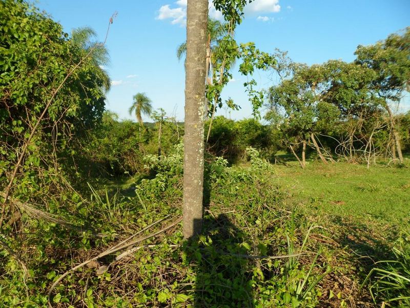 Visão leste - East view