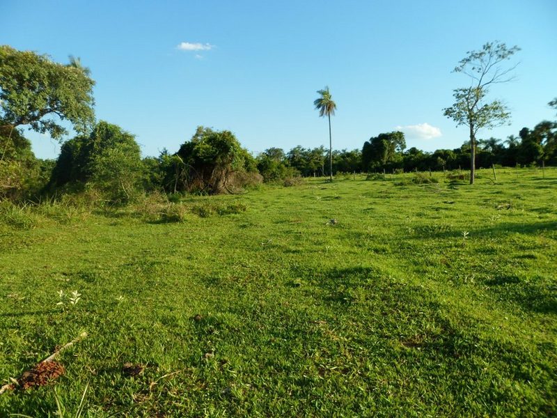 Visão sul - South view