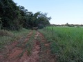 #7: Camino de Entrada. Entrance way