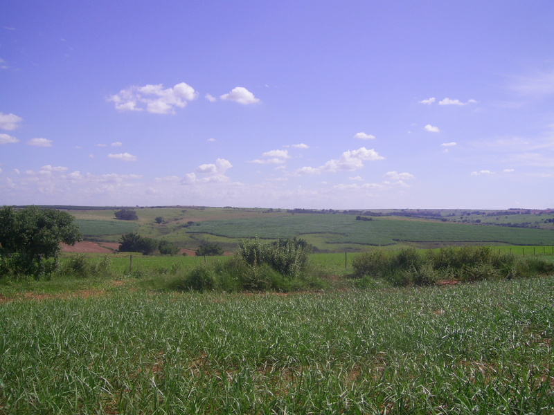 Visão oeste - west view