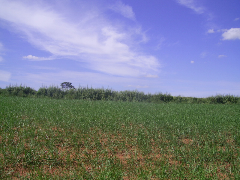 Visão leste - east view