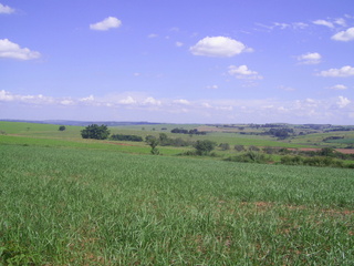 #1: Visão geral - general view