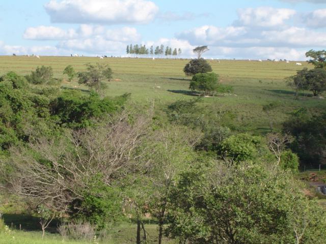 A GENERAL VIEW OF THE REGION WHERE THE CONFLUENCE POINT IS LOCATED