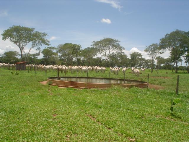 sight of the farm where it is the confluence point