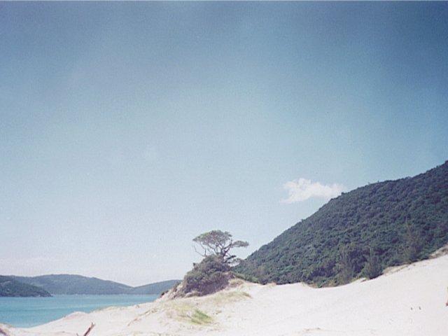 sand dunes 500 meters from confluence