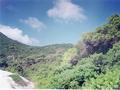 #12: here the sand dunes end and the dense forest starts 400 meters from confluence