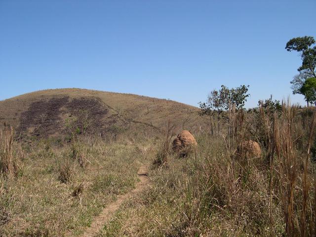 The foot path lead us near the confluence