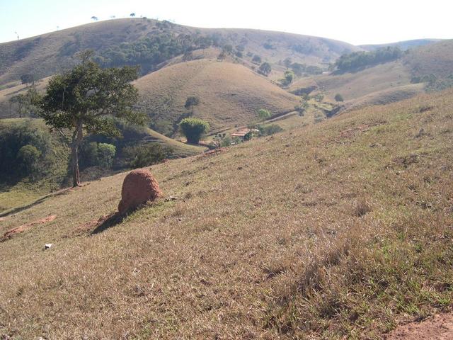 The small hill we walked up. Down the farm headquaters