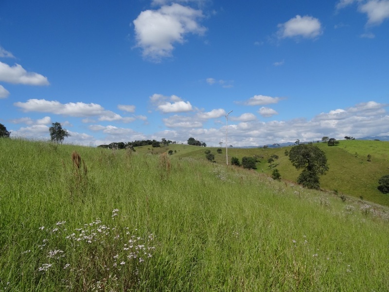 Vista Norte. North view