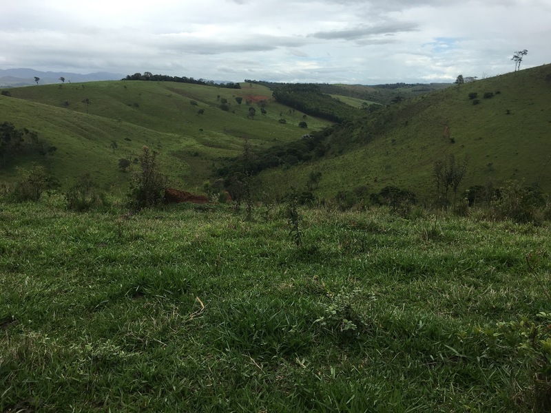 The Confluence from 15 m distance