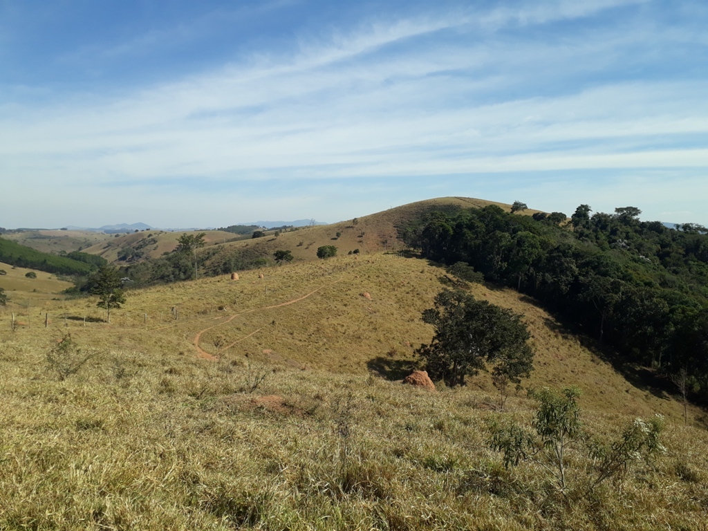 Trecho restante de caminhada, quase plano e bem mais fácil: a confluência fica atrás da floresta à direita - remaining leg of hike, almost flat and much easier: the confluence lies behind the forest at right