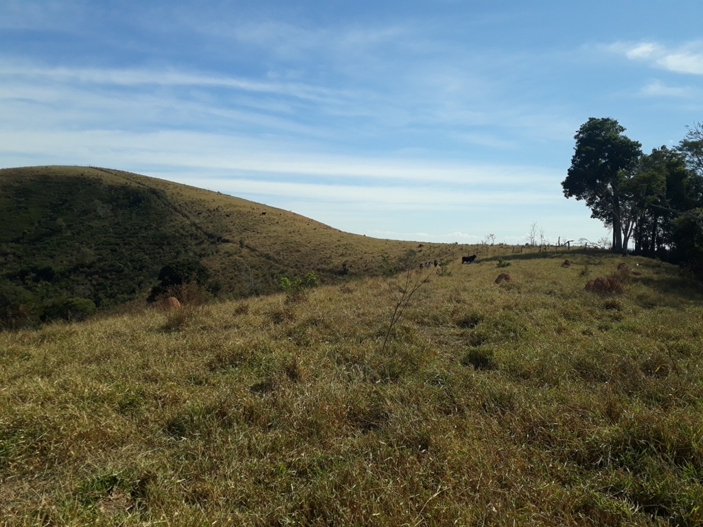 Visão geral - general view