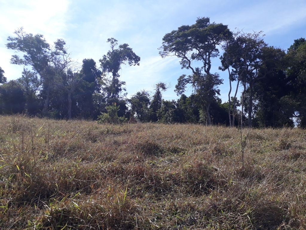 Visão leste - east view