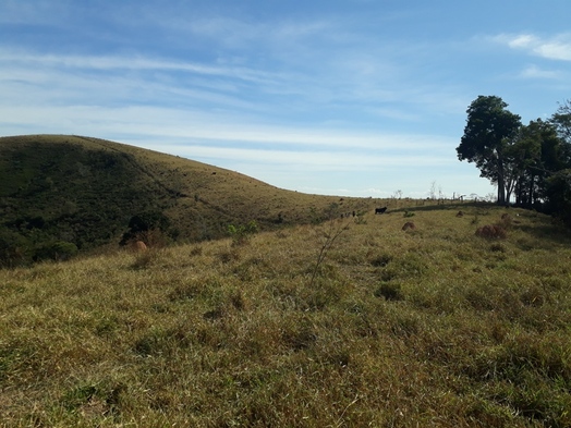 #1: Visão geral - general view