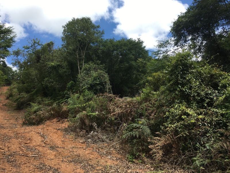 The Confluence from 20 m distance