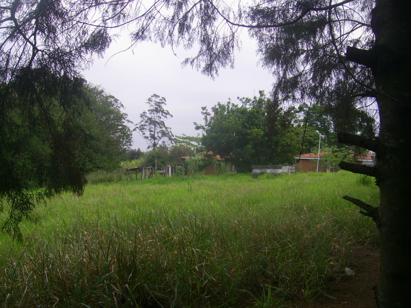 Visão geral - general view