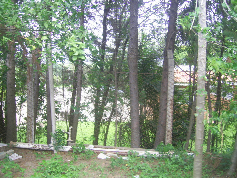 Vista da rua, a 118 metros da confluência - view from street, 118 meters to the confluence