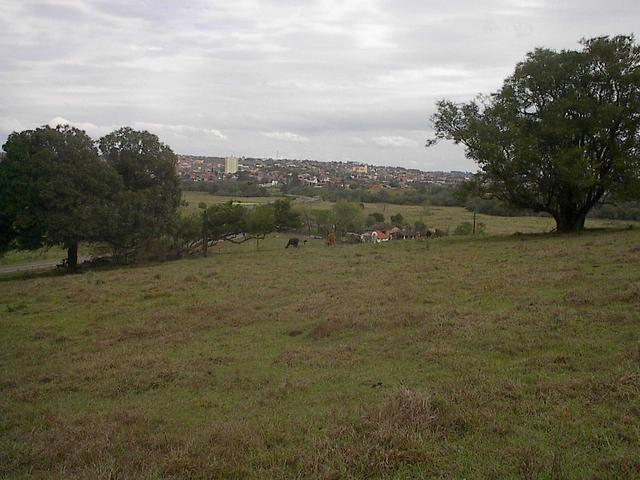 Conchas city viewed from the confluence 48 W 23 S