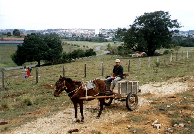 Local  inhabitant in a cart with the confluence and Conchas in the background