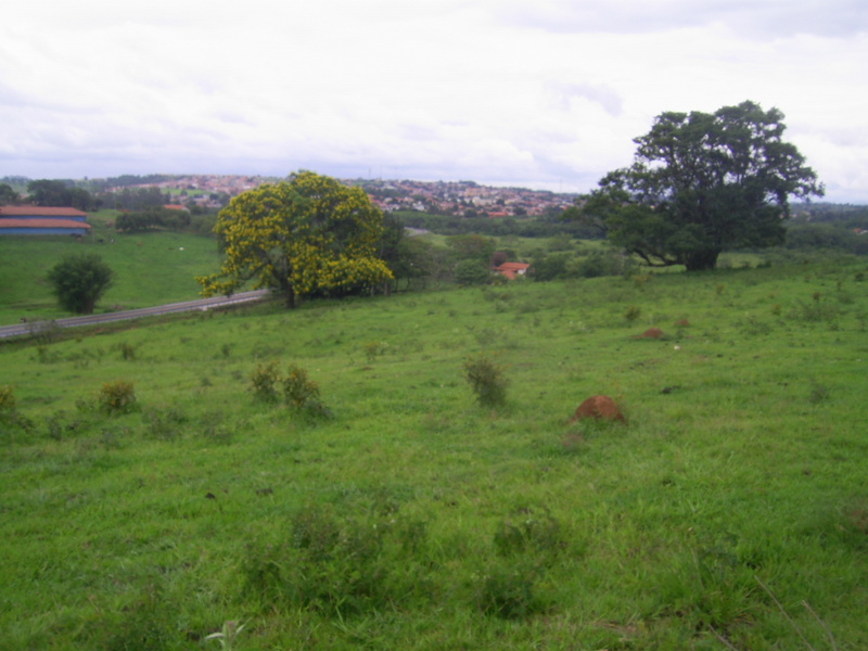 Visão geral da confluência e a cidade de Conchas ao fundo - general view of confluence and Conchas city at the background