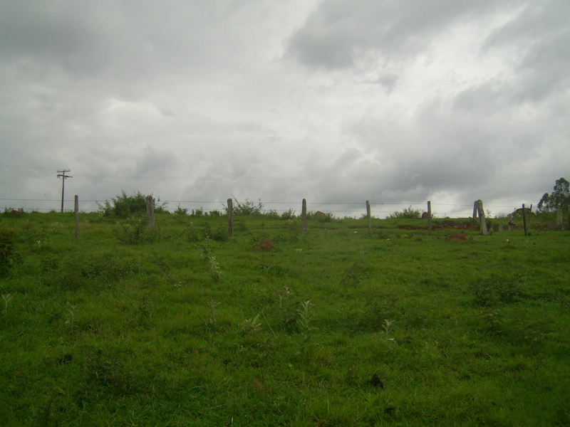 Visão norte - north view