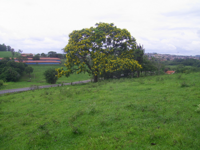 Visão sul - south view