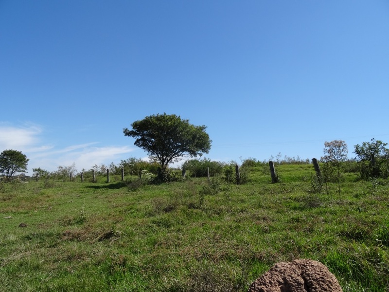 Vista Oeste. West view