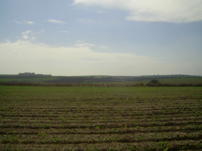 Visão leste - east view